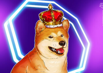 Auch Elon kann nicht mehr helfen? – DOGE legt nach Fürsprache von Musk nur 8 Prozent zu