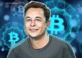 Bitcoin ist das bessere Geld – DOGE bringt Musk zur Energie-Erkenntnis