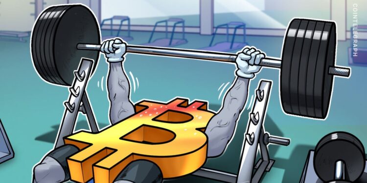 Bitcoin (BTC)-Liquidationen signalisieren Rallye auf 100.000 US-Dollar