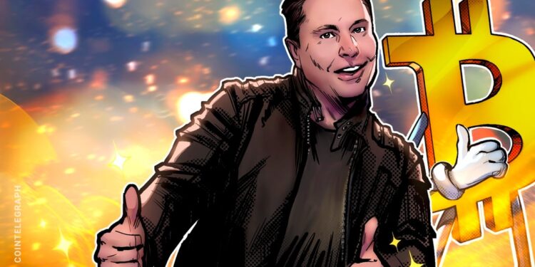 Elon Musk wird 2026 „voll auf Bitcoin setzen“ – Samson Mow Prognose